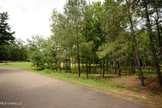 Danielle Cove, Brandon, MS 39042