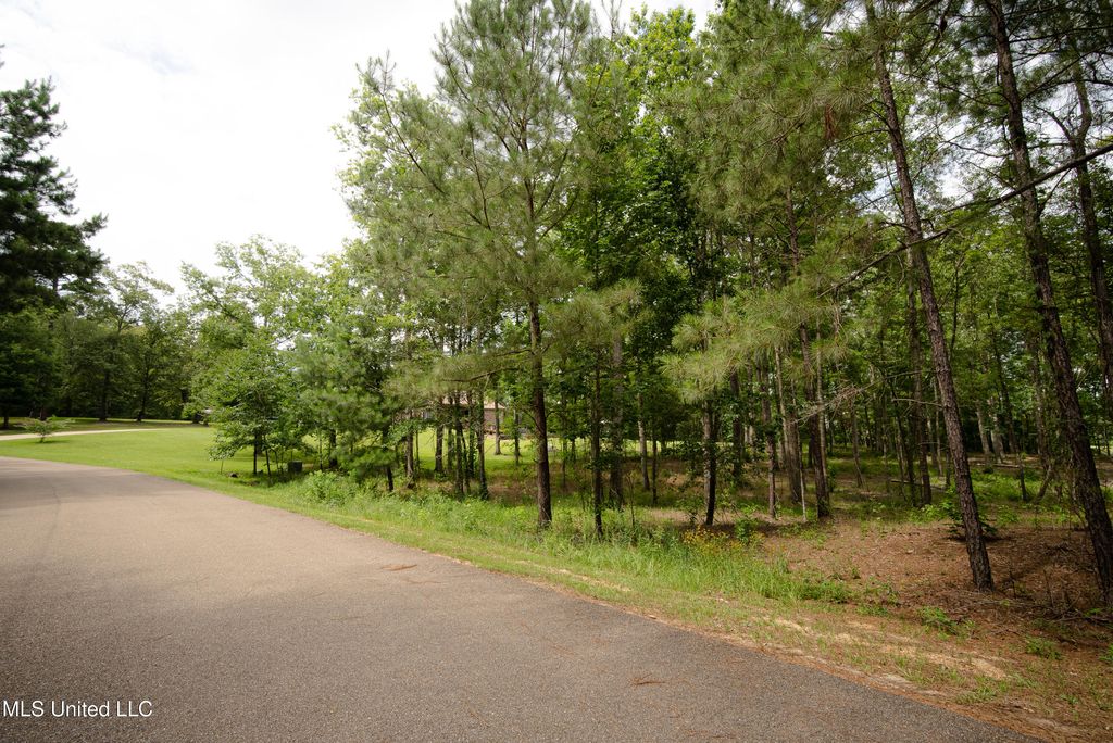 Danielle Cove, Brandon, MS 39042
