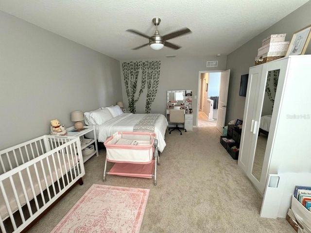 16910 OVAL RUM DRIVE, Wimauma, FL 33598