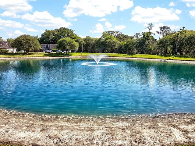 2906 ASH DRIVE, Leesburg, FL 34748