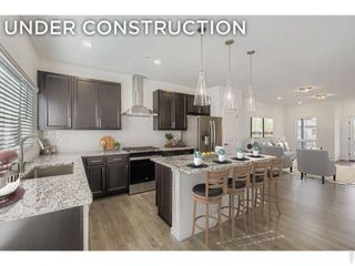 1002 Schlagel St 4, Fort Collins, CO 80524