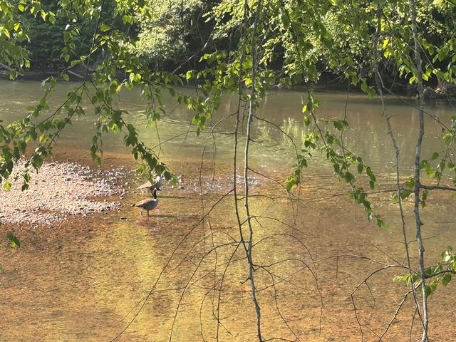 Lot 5 Grassy Creek Road, Copperhill, TN 37317