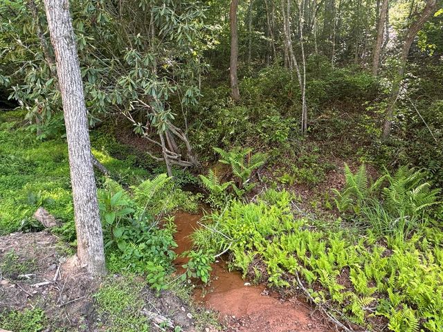 Lot 5 Grassy Creek Road, Copperhill, TN 37317