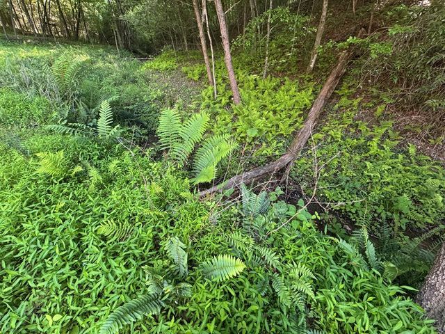 Lot 5 Grassy Creek Road, Copperhill, TN 37317