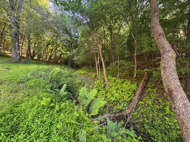 Lot 5 Grassy Creek Road, Copperhill, TN 37317