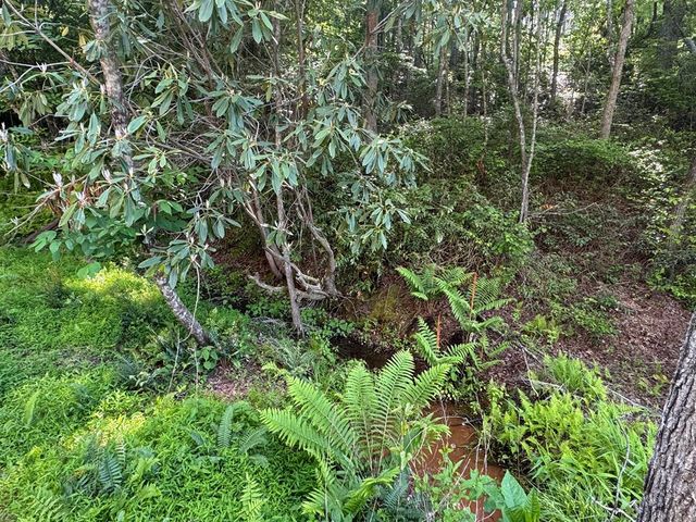 Lot 5 Grassy Creek Road, Copperhill, TN 37317