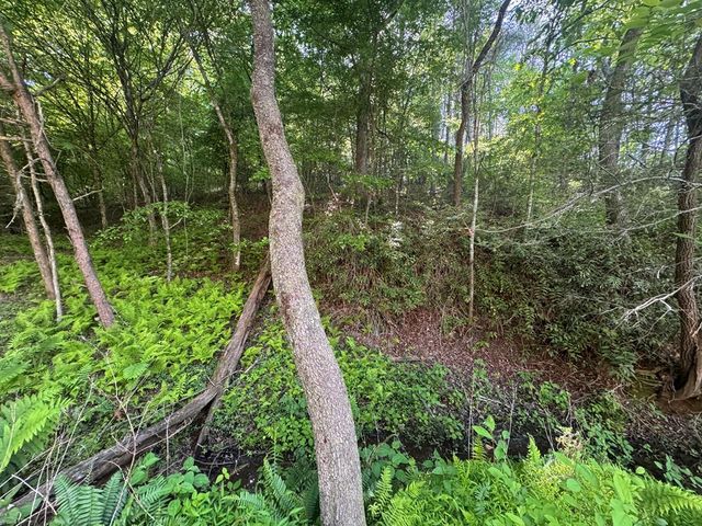 Lot 5 Grassy Creek Road, Copperhill, TN 37317