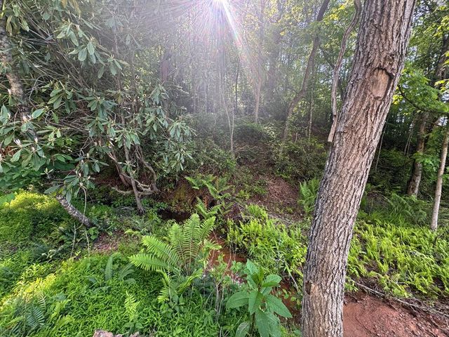 Lot 5 Grassy Creek Road, Copperhill, TN 37317