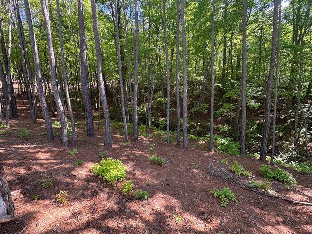 Lot 5 Grassy Creek Road, Copperhill, TN 37317