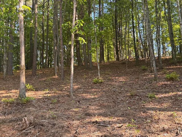 Lot 5 Grassy Creek Road, Copperhill, TN 37317