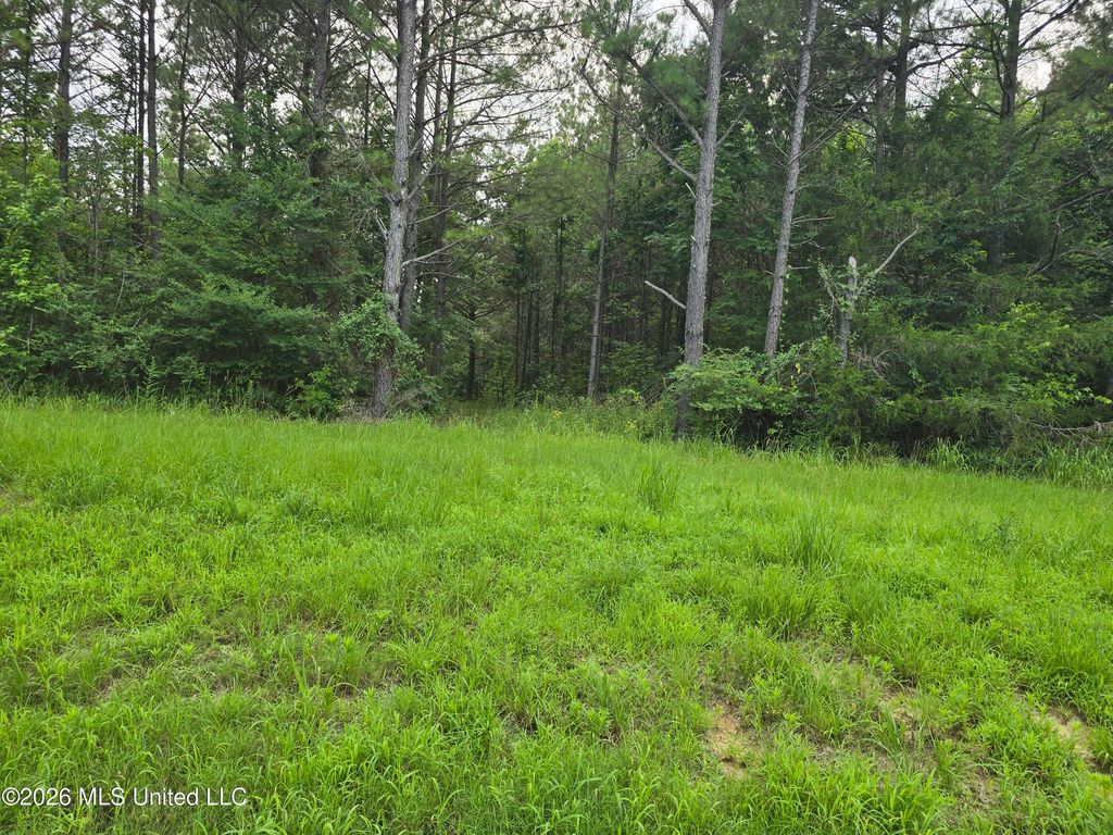 1 Gravel Springs Road Road, Senatobia, MS 38668 — photo 2