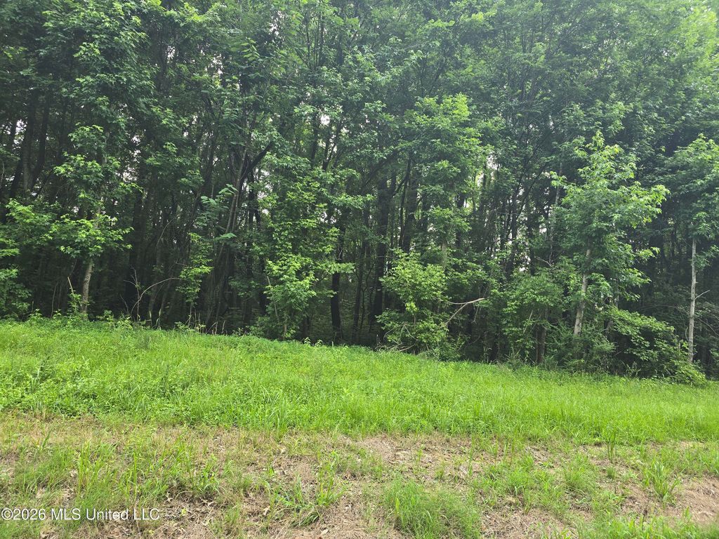 1 Gravel Springs Road Road, Senatobia, MS 38668 — photo 3
