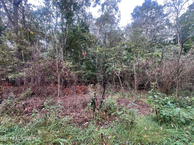 Lot 30 Ridge Drive, Kingston, TN 37763
