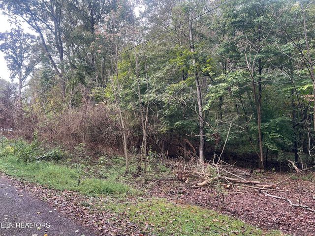 Lot 30 Ridge Drive, Kingston, TN 37763