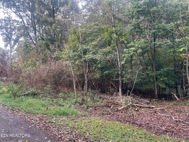 Lot 30 Ridge Drive, Kingston, TN 37763