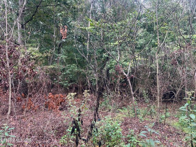 Lot 30 Ridge Drive, Kingston, TN 37763