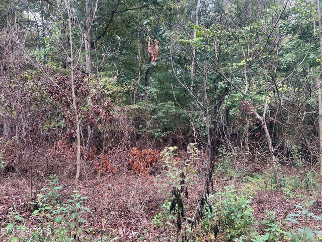Lot 30 Ridge Drive, Kingston, TN 37763
