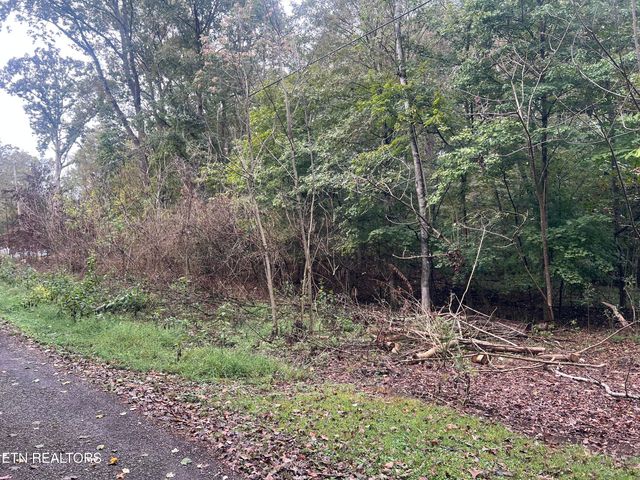 Lot 30 Ridge Drive, Kingston, TN 37763