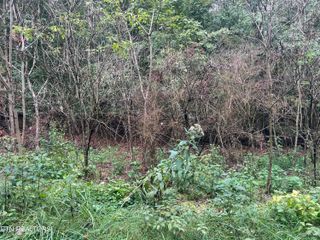Lot 30 Ridge Drive, Kingston, TN 37763