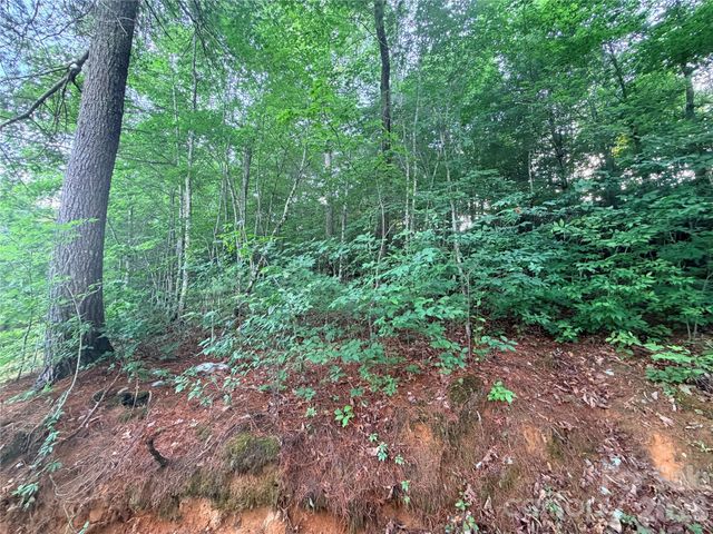 0 Silverglen Way 53, Hendersonville, NC 28792