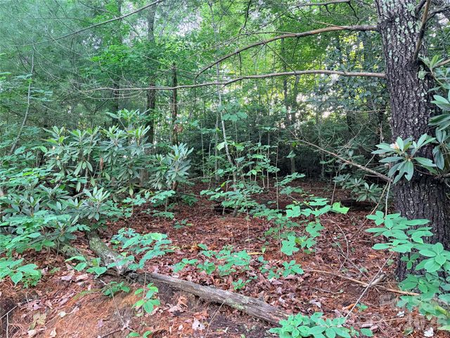 0 Silverglen Way 53, Hendersonville, NC 28792