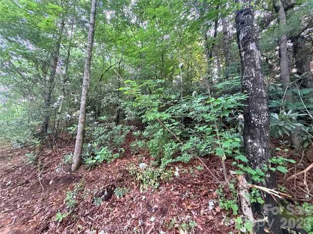 0 Silverglen Way 53, Hendersonville, NC 28792
