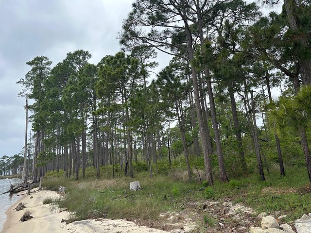 171 Dolphin Cove, Freeport, FL 32439