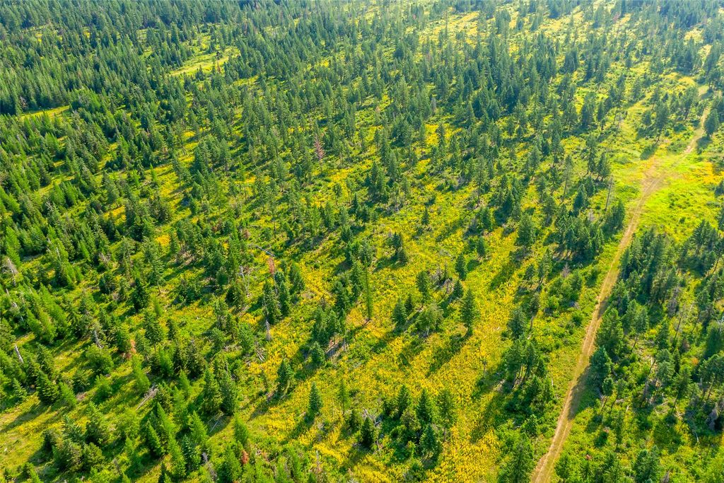 NHN Windhaven, Bigfork, MT 59911 photo 11