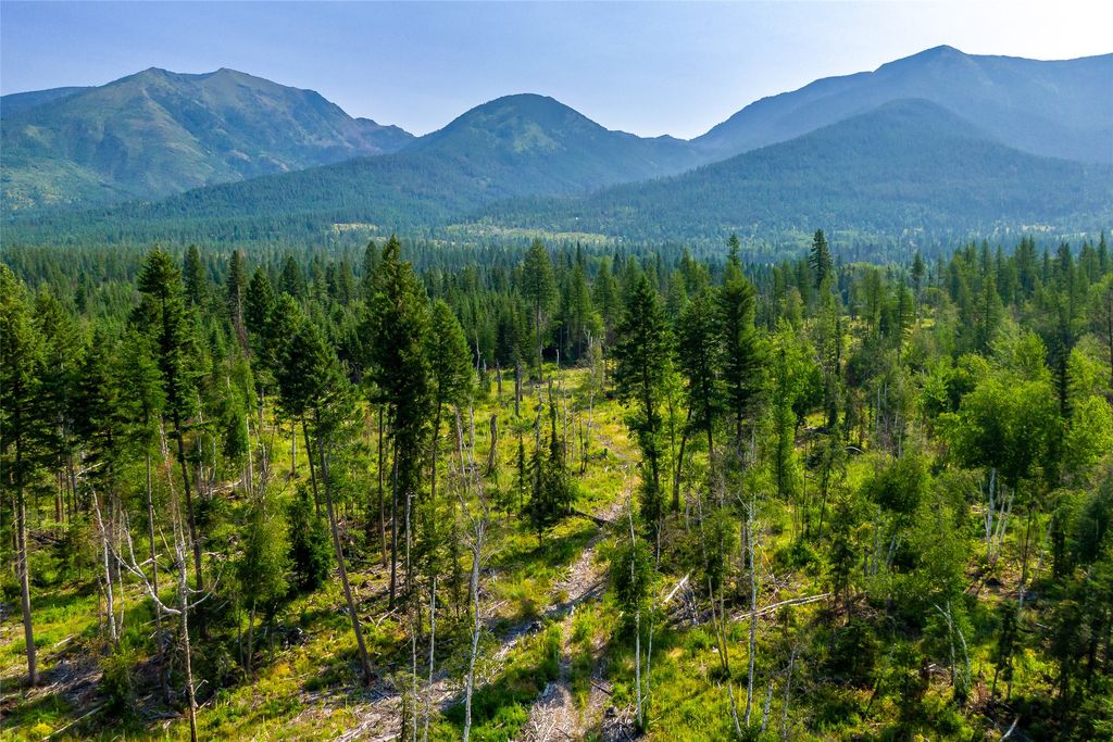 NHN Windhaven, Bigfork, MT 59911 photo 17