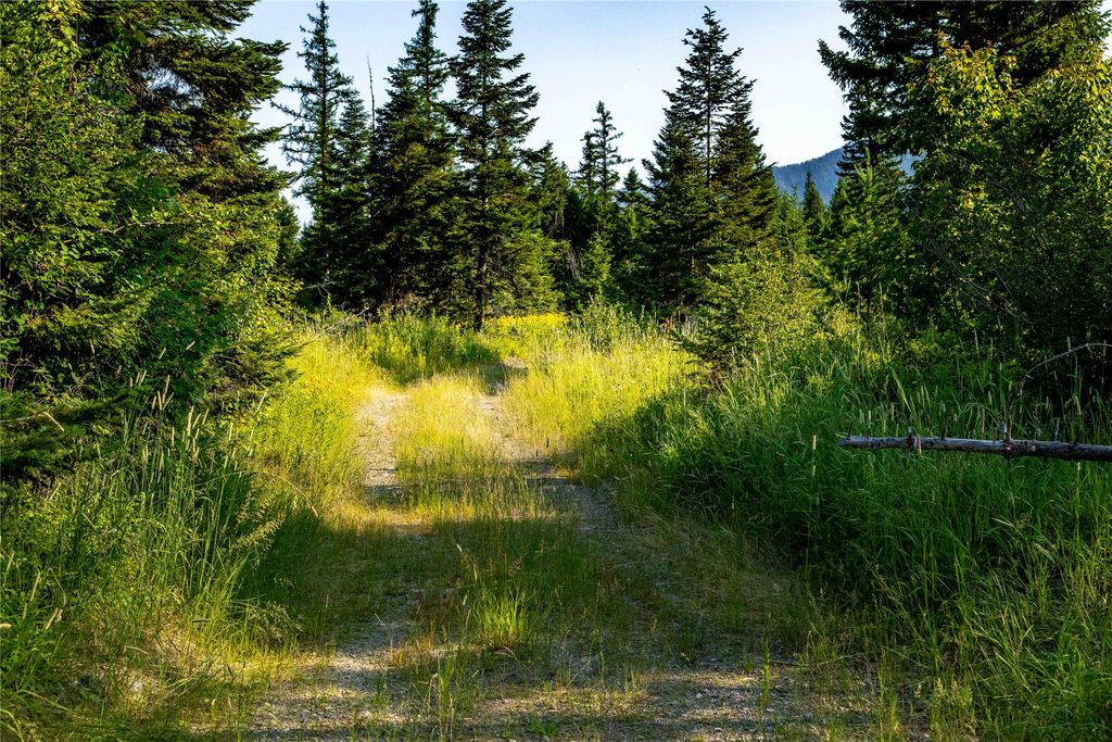 NHN Windhaven, Bigfork, MT 59911 photo 18