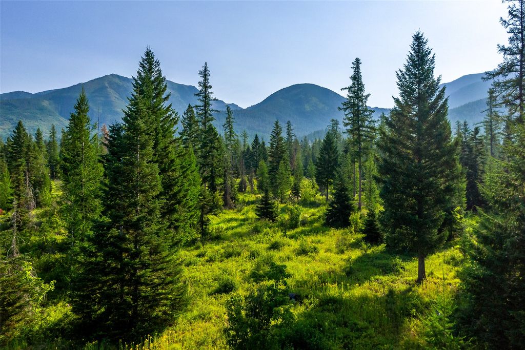 NHN Windhaven, Bigfork, MT 59911 photo 2