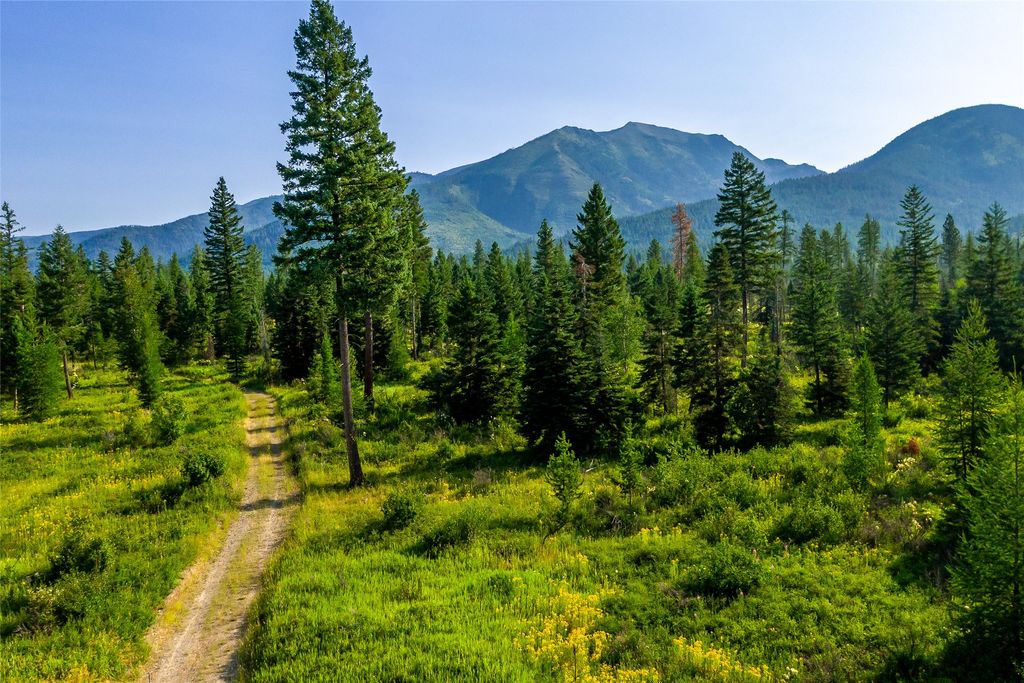 NHN Windhaven, Bigfork, MT 59911 photo 4