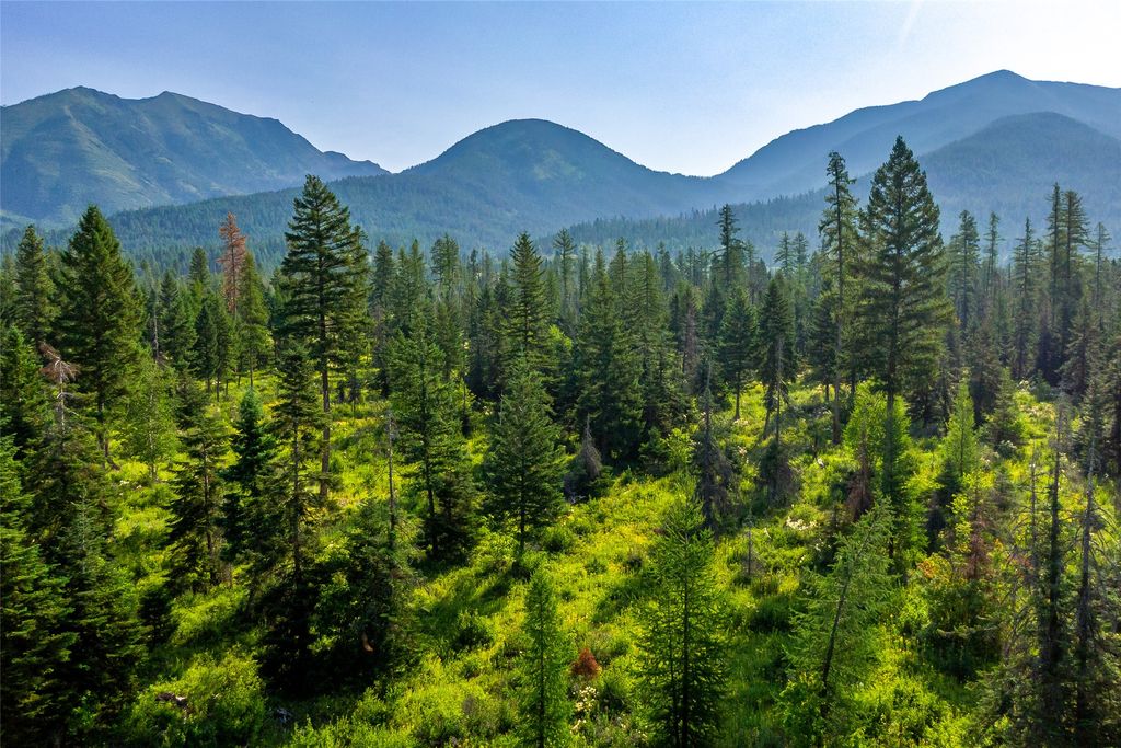 NHN Windhaven, Bigfork, MT 59911 photo 5