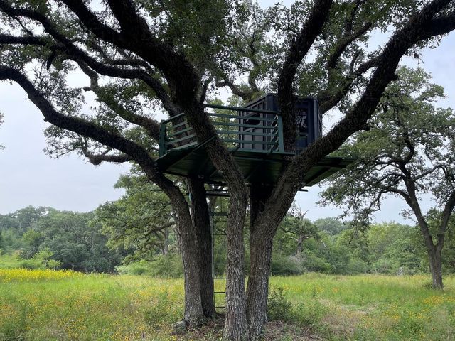 4636 Highway 71, Columbus, TX 78934