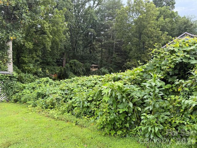 00000 Duckworth Avenue 1, Brevard, NC 28712