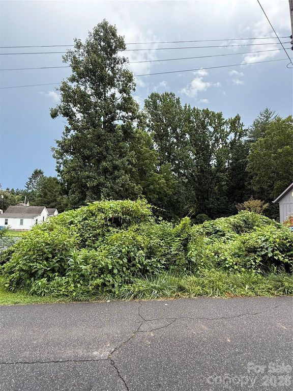00000 Duckworth Avenue 1, Brevard, NC 28712