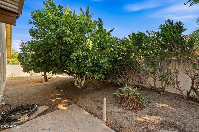 10945 W Bermuda Drive, Avondale, AZ 85392