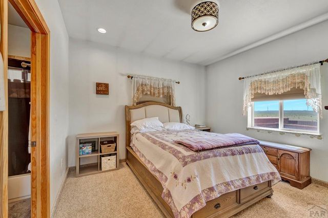 730 Peakview Dr, Rye, CO RYE