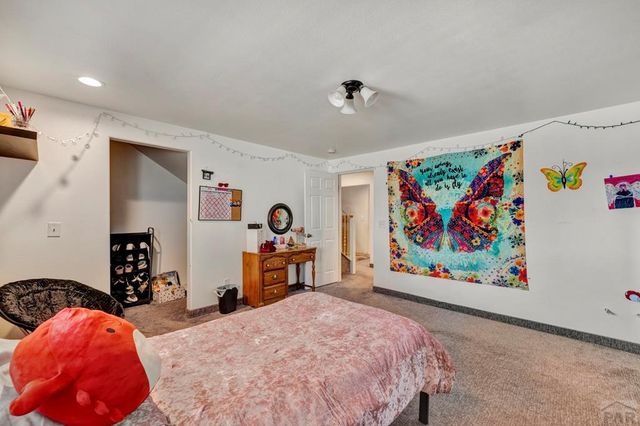 730 Peakview Dr, Rye, CO RYE