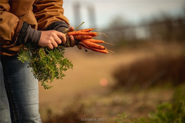 4024 Hollow Court, College Station, TX 77845