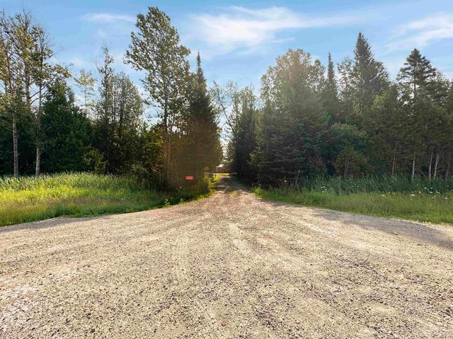 4380 N M-67 Road, Chatham, MI 49816