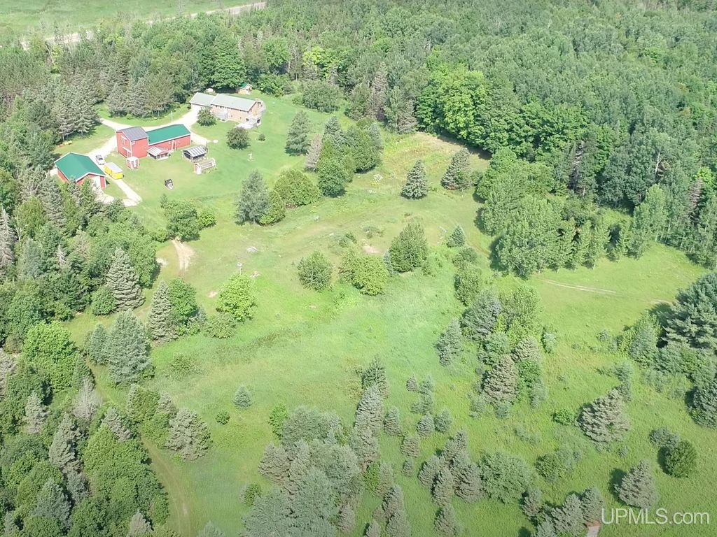 4380 N M-67 Road, Chatham, MI 49816