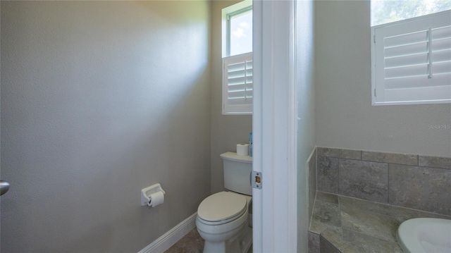 22564 CHEROKEE ROSE PLACE, Land O Lakes, FL 34639