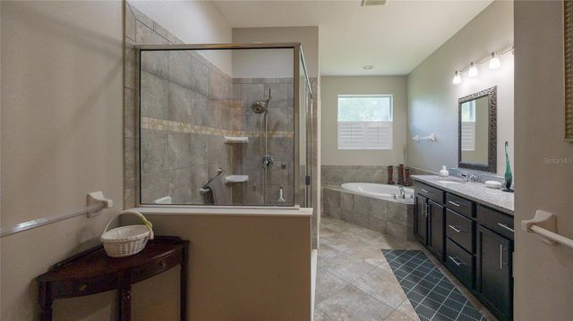 22564 CHEROKEE ROSE PLACE, Land O Lakes, FL 34639
