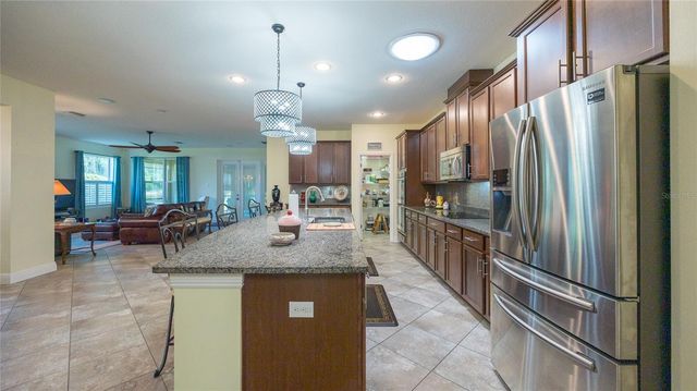 22564 CHEROKEE ROSE PLACE, Land O Lakes, FL 34639