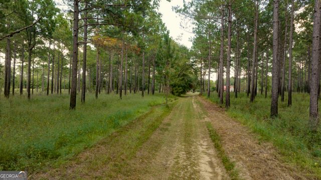 31 GA Hwy 41, Morgan, GA 39866