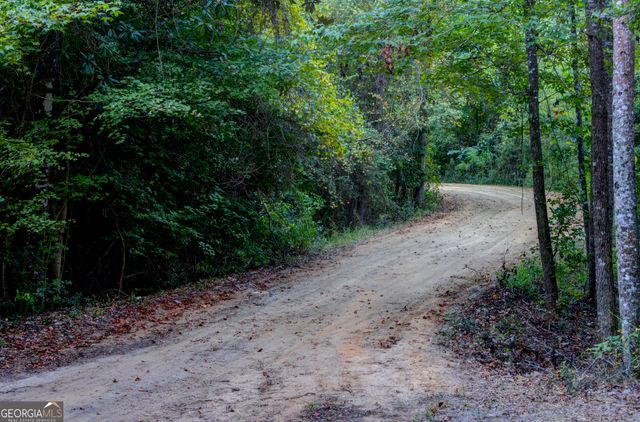 31 GA Hwy 41, Morgan, GA 39866