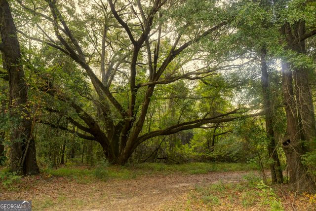 31 GA Hwy 41, Morgan, GA 39866