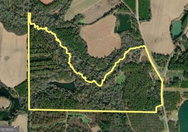 31 GA Hwy 41, Morgan, GA 39866