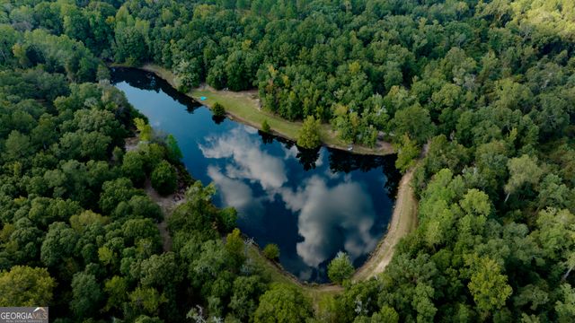 31 GA Hwy 41, Morgan, GA 39866